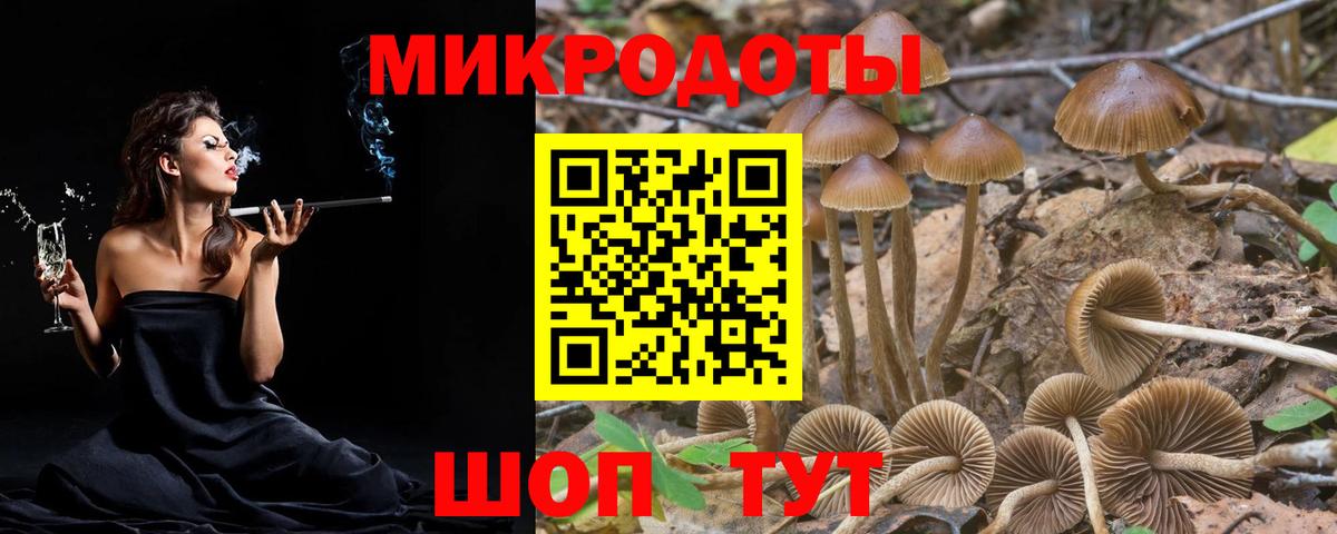 Новоалександровск  сколько стоит  Вход с VPN  Псилоцибиновые грибы прущие грибы 